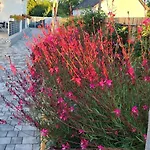 Apartman U8 Vonyarcvashegy