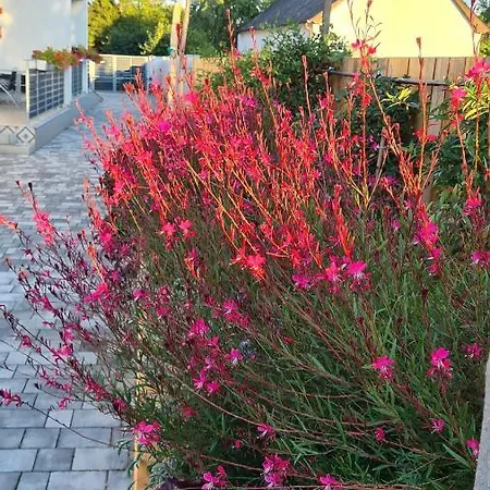 アパート U8 Apartmanhaz ボニャルツバシュ